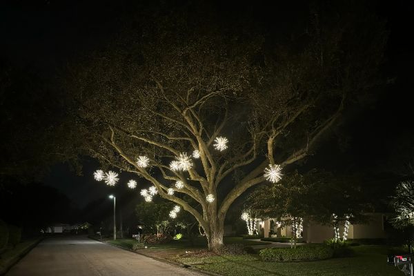 Christmas Lighting service near me in Boca Raton FL 009