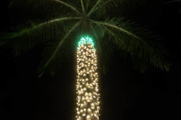 Christmas Lighting service near me in Boca Raton FL 031