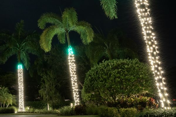 Christmas Lighting service near me in Boca Raton FL 032